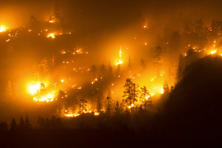 A wildfire on a mountain