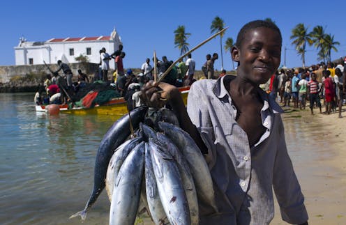 Using the ocean to fight climate change raises serious environmental justice and technical questions