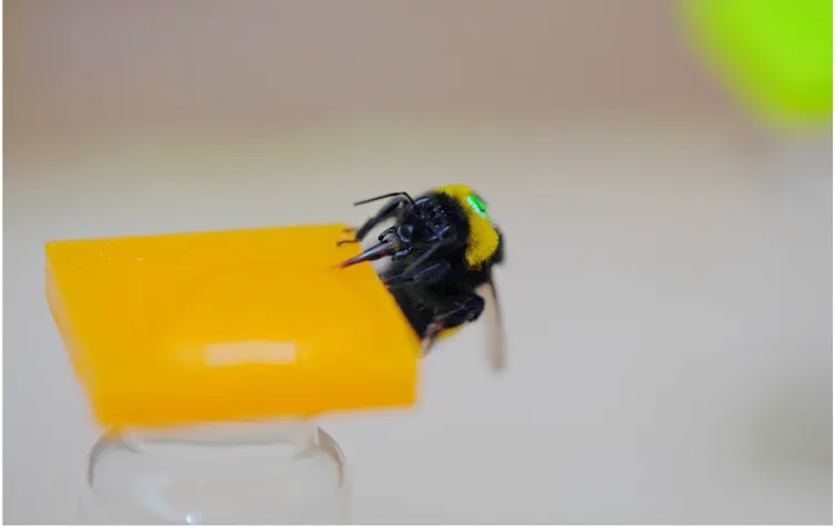 A bumblebee sitting on top of an artificial flower.
