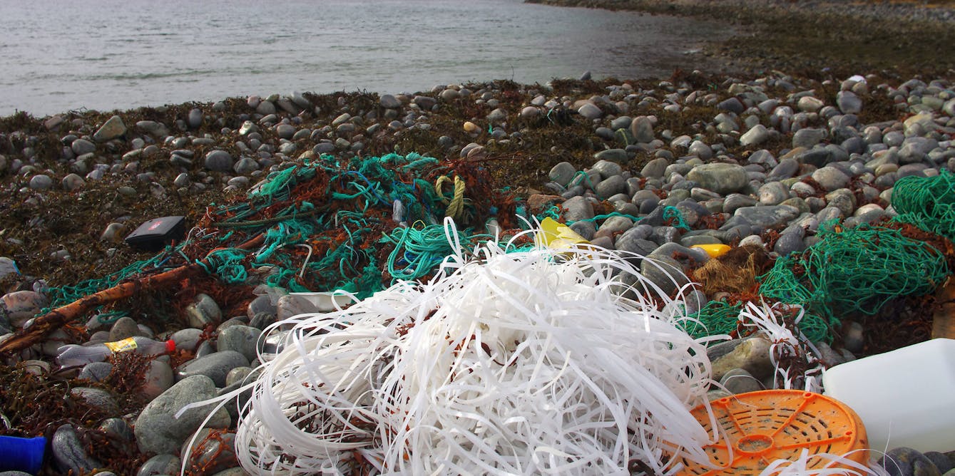 740,000km of fishing line and 14 billion hooks: we reveal just how much fishing  gear is lost at sea each year