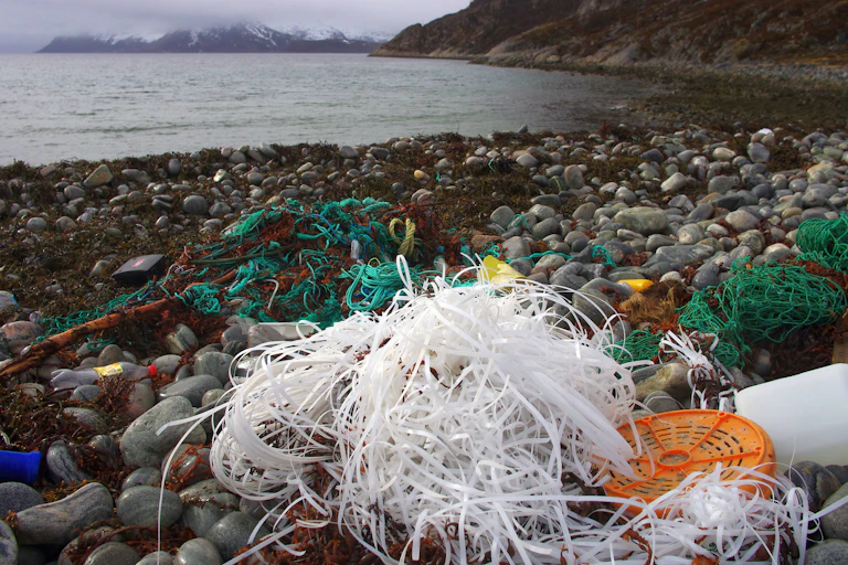 White and green plastic fishing gear on rocks by the sea