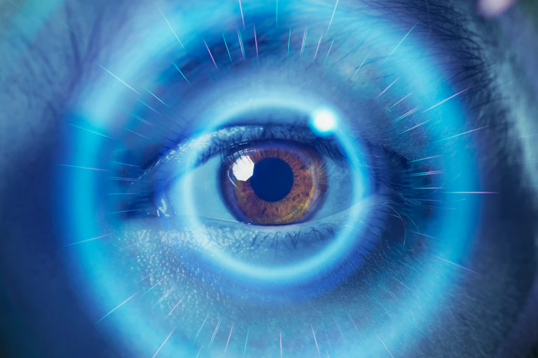 a close-up of an eye with a grid surrounding the iris.