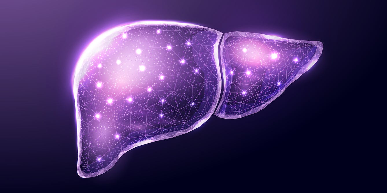 Helping the liver regenerate itself could give patients with end-stage liver disease a treatment option besides waiting for a transplant (sfchronicle.com)