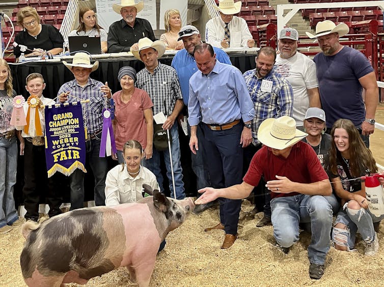 People at a fair, many of them in cowboy hats, inspect a pig standing on straw.