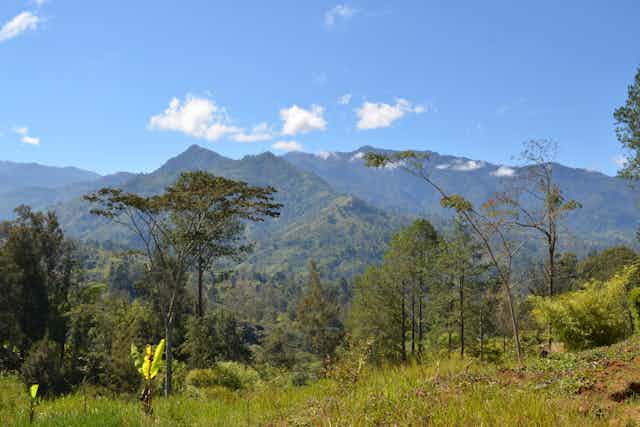 Papua New Guinea Highlands