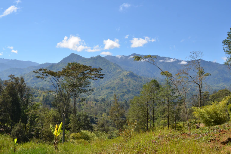 Papua New Guinea Highlands
