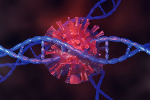 Humans are 8% virus – how the ancient viral DNA in your genome plays a role in human disease and development