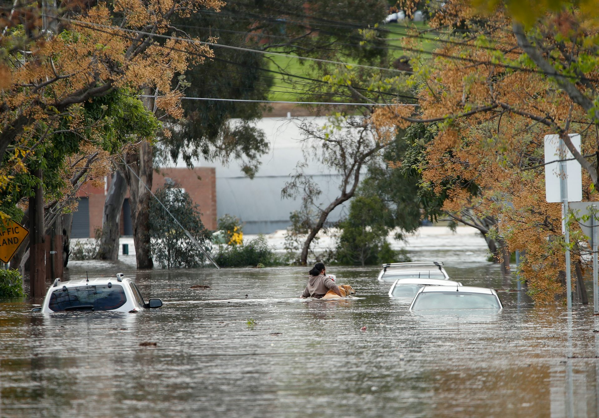 Cars submerged in a flooded suburban streets