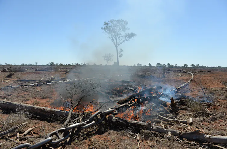 land clearing queensland