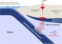Cross-section of a subduction zone, where oceanic lithosphere descends below a continental margin.