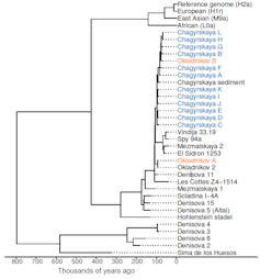A graph showing relations among the various species