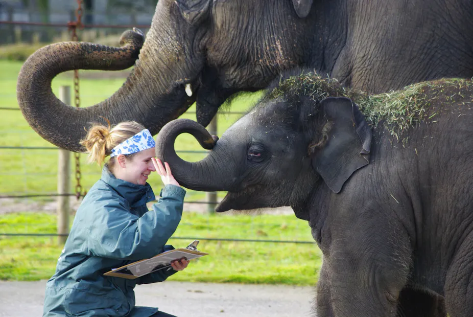 Animal welfare and animal rights are very different beasts