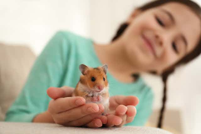 A girl holds a hamster