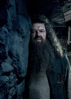 Robbie Coltrane dressed as Hagrid the giant from the Harry Potter film series.