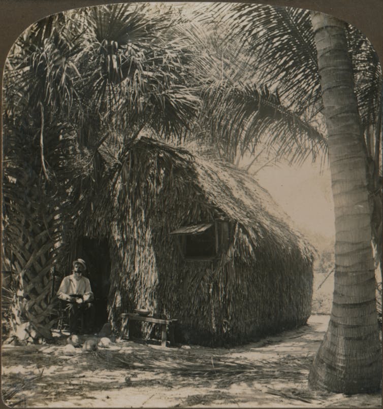 A black and white photo of a thatched cottage in a tropical place