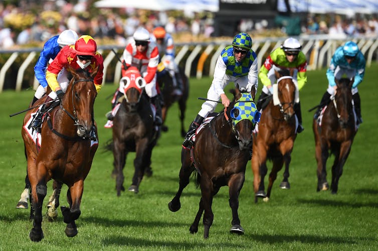Racehorses in 2021 Melbourne Cup