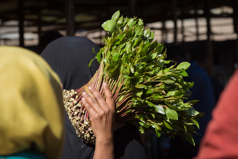 Une femme achète du khat sur un marché près de Harar, en Éthiopie.