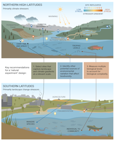 Guidelines for designing cumulative effects studies in two contrasting environments.