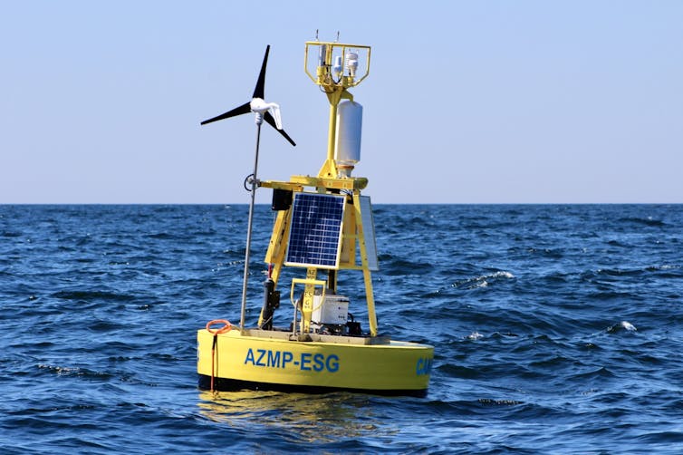 buoy floating in the water