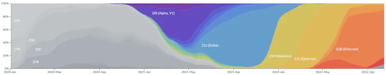 Fréquence des clades Nextstrain