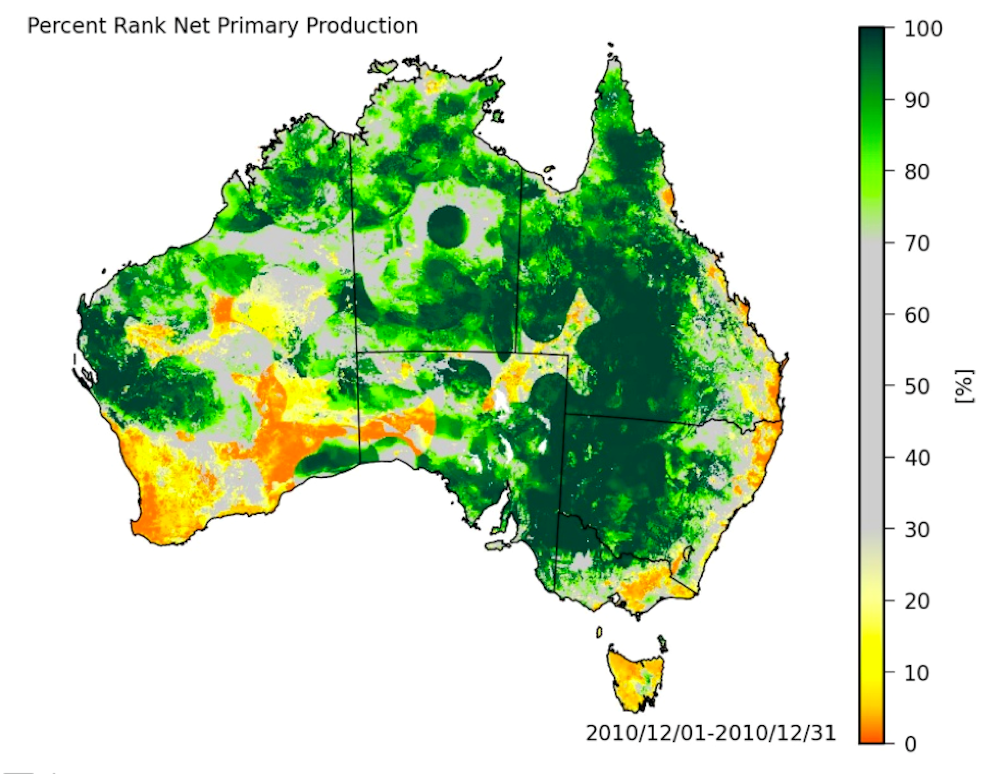 Record Rains Made Australia A Giant Green Global Carbon Sink
