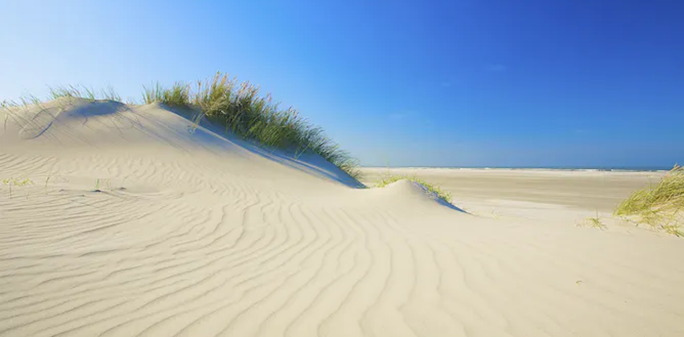 D'où vient le sable de plage ? - Nouvelles Du Monde