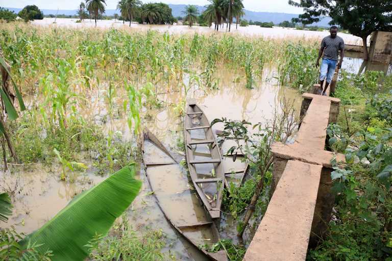 A man walking on stilts on a farm covered with flood water.