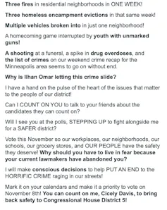 An email message reads: Three fires in residential neighborhoods in ONE WEEK! Three homeless encampment evictions in that same week! Multiple vehicles broken into in just one neighborhood! A homecoming game interrupted by youth with unmarked guns!