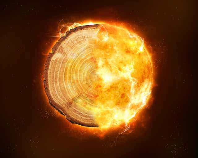 A circular image against a dark background, half tree ring and half sun.
