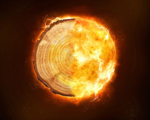 Radioactive traces in tree rings reveal Earth's history of unexplained 'radiation storms'