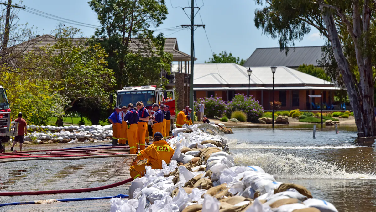 Beyond a state of sandbagging: what can we learn from all the floods, here and overseas?