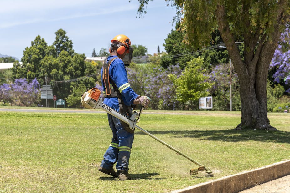 Man trimming grass in a park