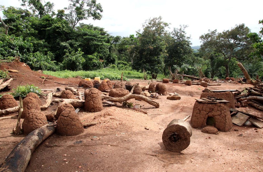 Mounds of clay with large tree trunks among them, an earthen oven and trees in the background