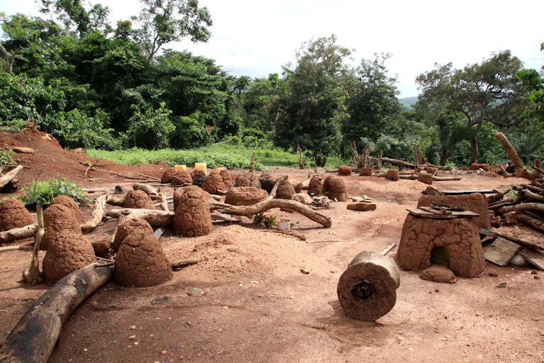 Mounds of clay with large tree trunks among them, an earthen oven and trees in the background
