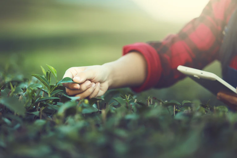 Agriculteur avec un smartphone