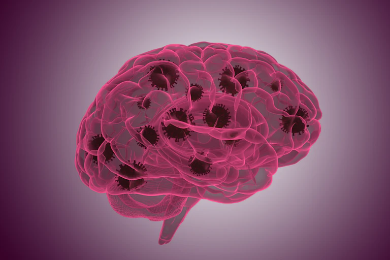 A pink illustration of a brain with virus particles throughout.