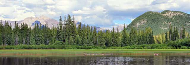 Canadian Rocky mountains and lake landscape