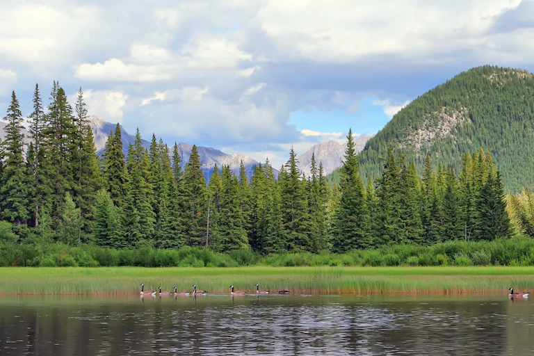 Canadian Rocky mountains and lake landscape
