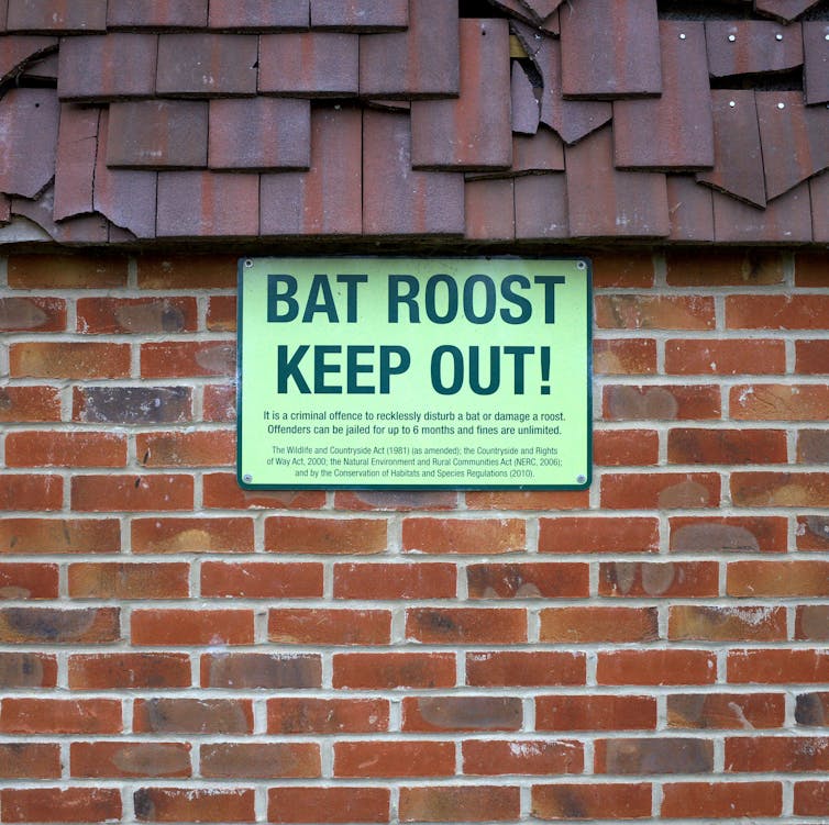 a green sign on a brick wall reading BAT ROOST KEEP OUT!