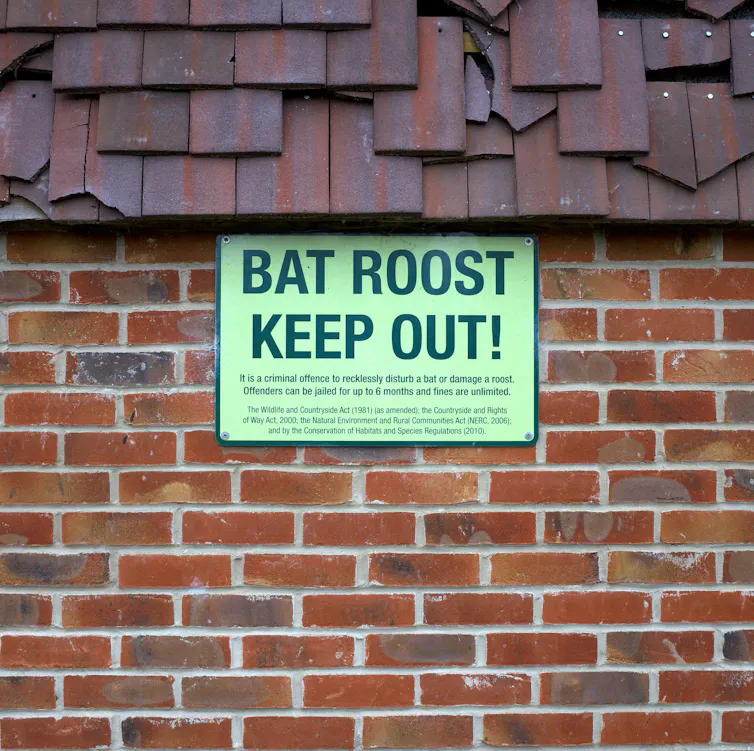 a green sign on a brick wall reading BAT ROOST KEEP OUT!