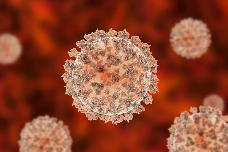 An illustration of SARS-CoV-2, the virus that causes COVID-19.