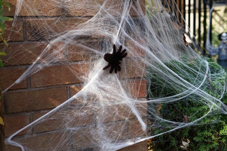 fake cobweb and spider on bush