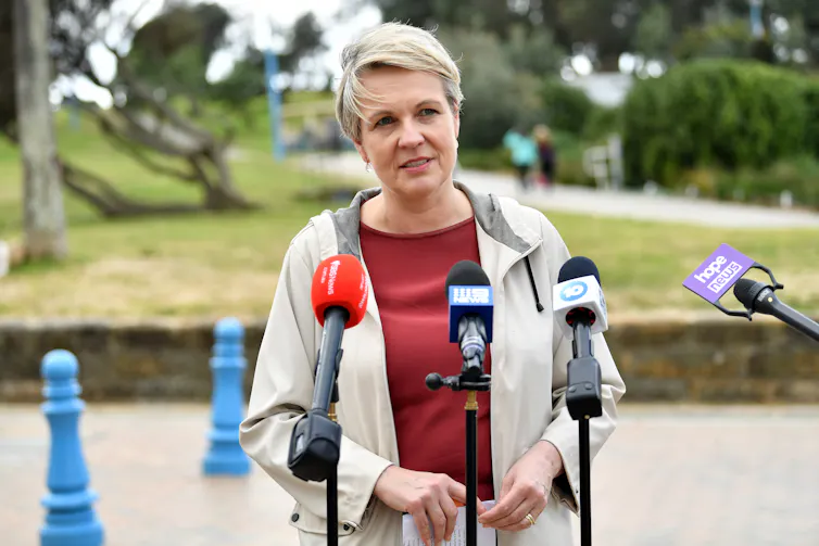 Tanya Plibersek giving a press conference