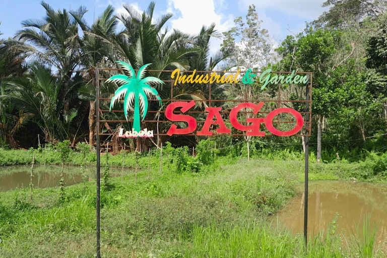 Sagu merupakan pangan lokal Suku Tolaki