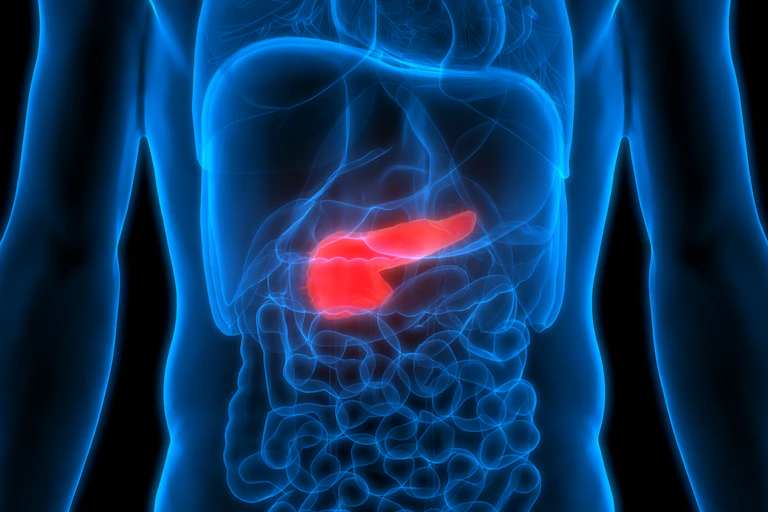A pancreas