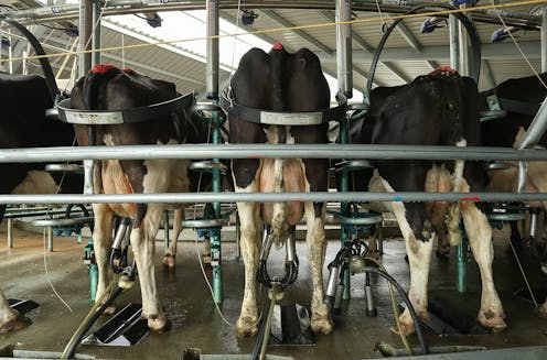 Farmers need certainty over emissions pricing – removing government from the equation might help