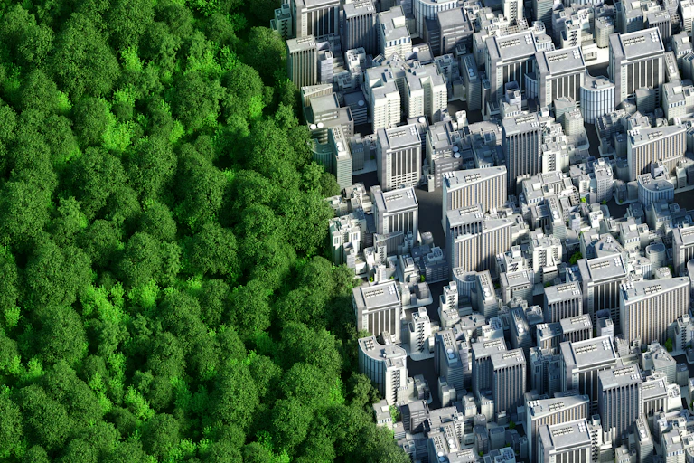 A forest and a city next to each other.