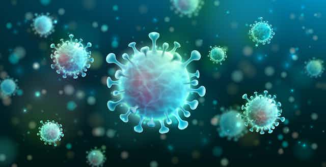 SARS-CoV-2, the virus that causes COVID