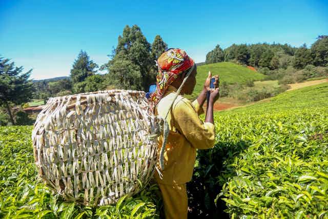 Tea farmer on her mobile phone.