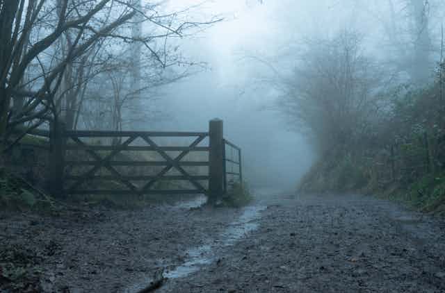 A misty dirt road.
